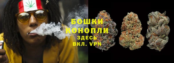 амф Новодвинск