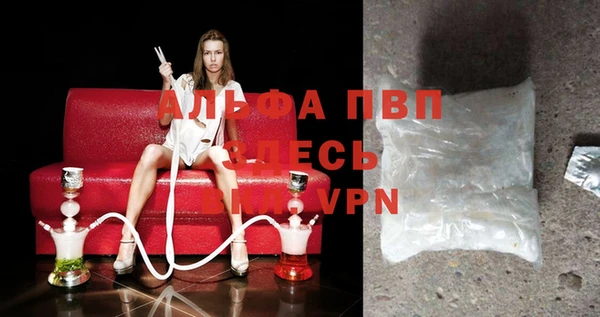 амф Новодвинск