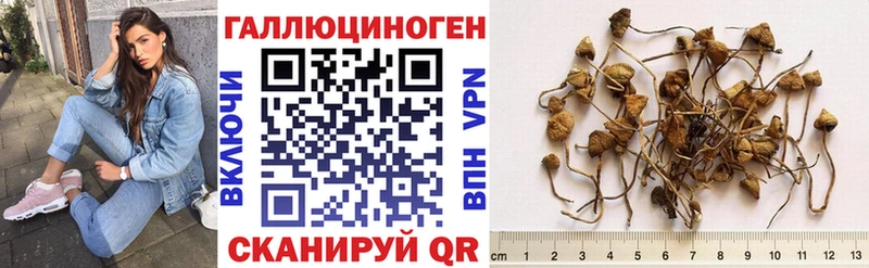 Галлюциногенные грибы Cubensis  Шимановск 